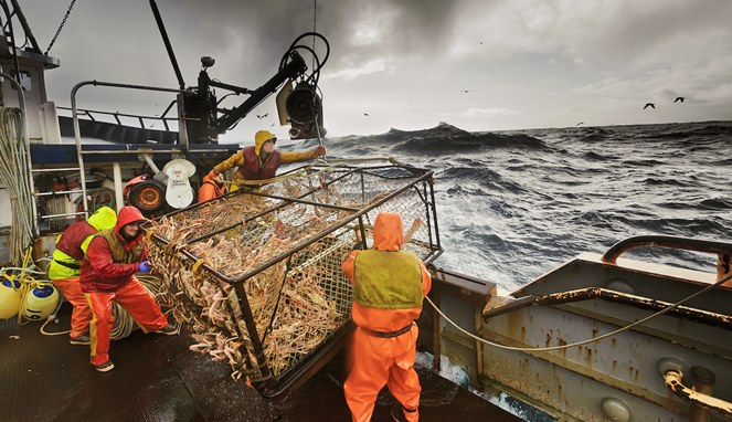 Bertaruh Nyawa, Nelayan Kepiting Raja Alaska - Cianjur Kuy