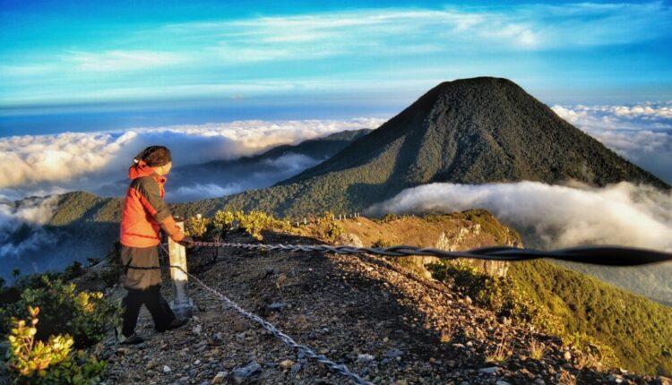 Jelajahi 6 Keindahan Gunung Gede-Pangrango yang Eksotis