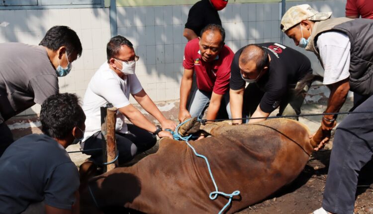 Idul Adha, Mencerahkan Makna Qurban dalam Era Digital