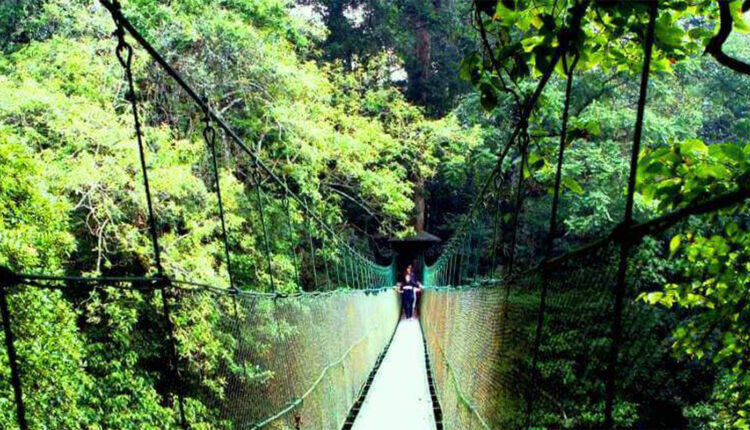 Indahnya Wisata Canopy Trail Ciwalen Cibodas di Cianjur