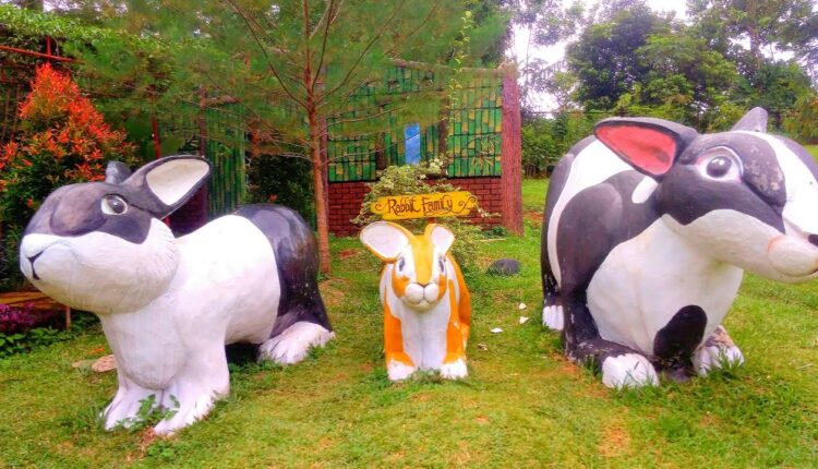 Menyegarkan Pikiran dengan Wisata Taman Kelinci Cianjur