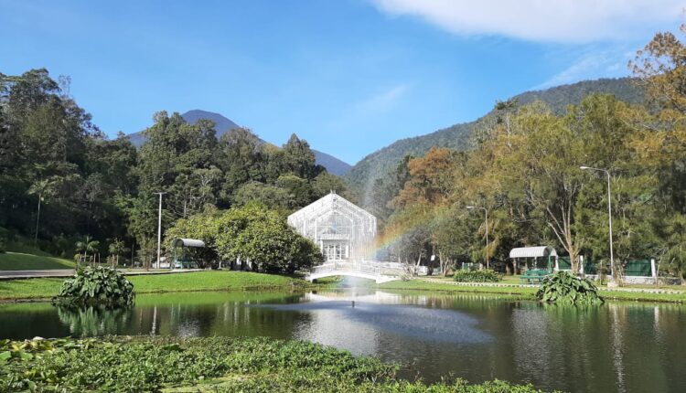 Pesona Kebun Raya Cibodas di Cianjur, Wisata Alam yang Indah