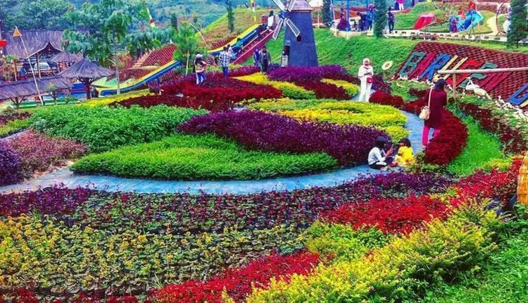 4 Rekomendasi Wisata Alam Menakjubkan di Ciwidey Bandung