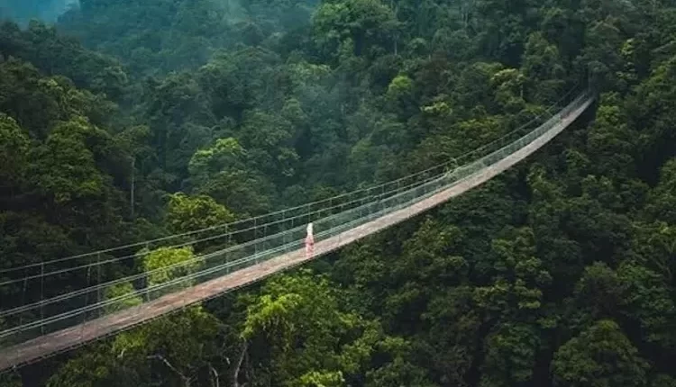 Wisata Jembatan Gantung Situ Gunung, Cocok Untuk Uji Adrenalin