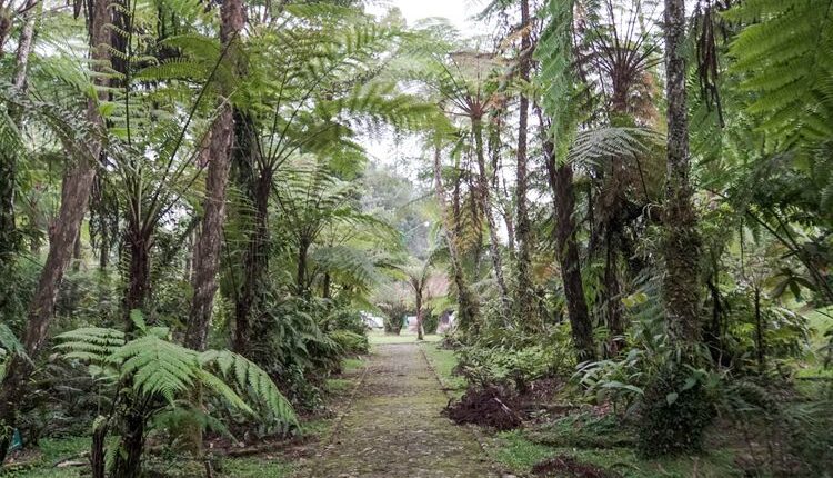 Kunjungan Wisata Alam Cianjur dari Mancanegara Meningkat