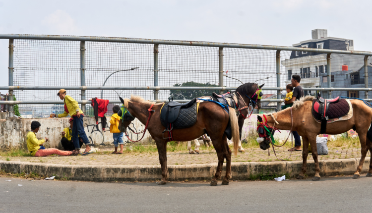 Tips Mengurangi Paparan Polusi Transportasi di Cianjur