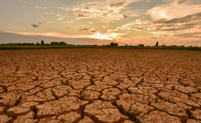 4 Cara Mencegah Kekeringan Akibat Kemarau di Cianjur