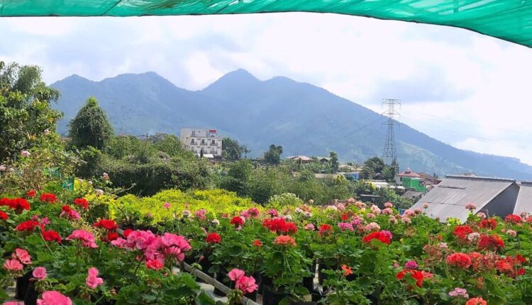 Cari Kesejukan? 7 Tempat Wisata Cianjur Sejuk Ini Jadi Pilihan