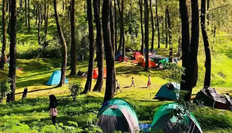 Nikmati Sunrise yang Menawan di Lembah Pasir Sumbul Cianjur