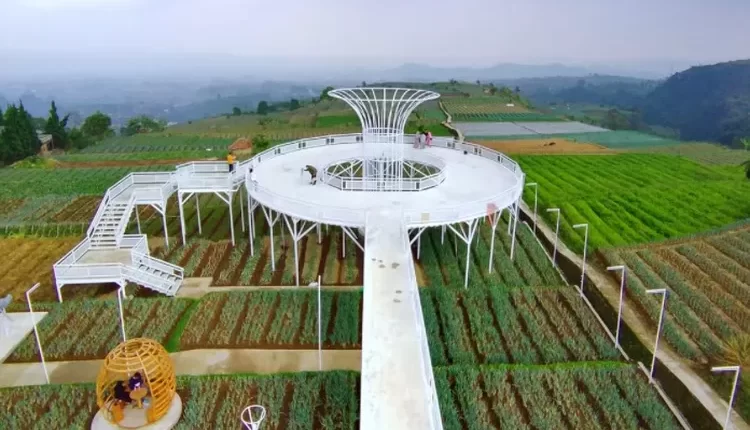 Keindahan Artala Agroeduwisata di Kaki Gunung Gede Pangrango