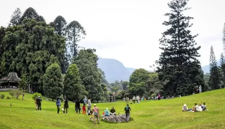 Kunjungan Wisatawan ke Cianjur Sentuh Angka Rekor hingga Oktober 2023