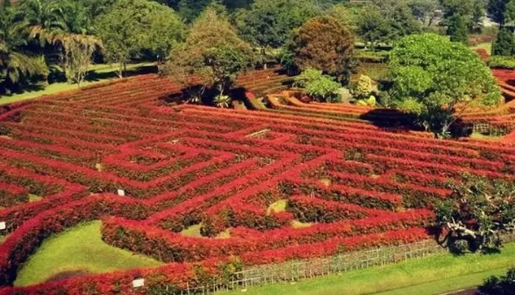 Mengasah Otak di Taman Rahasia Taman Bunga Nusantara