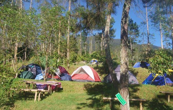 14.510 Orang Habiskan Libur Natal dan Tahun Baru Berkemah di TNGGP