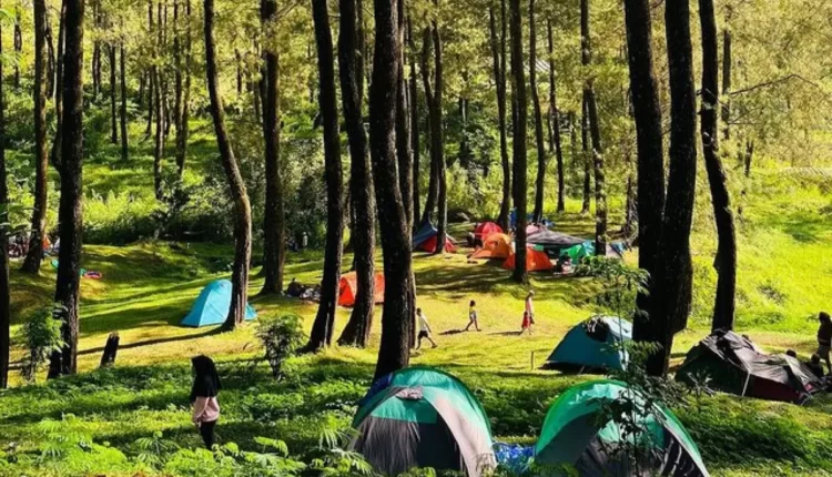 Lembah Pasir Sumbul, Surga Camping yang Memikat