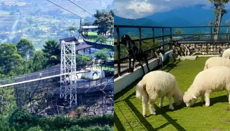 Libur Akhir Tahun Seru di Wisata The Nice Funtastic Park