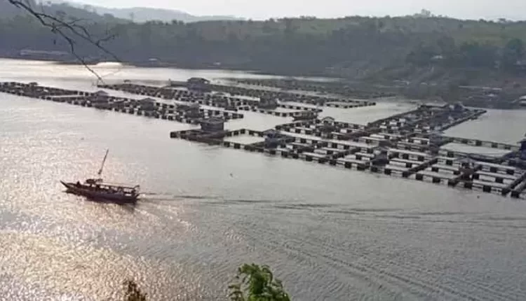 Waduk Jangari, Mantan Primadona Wisata Air di Cianjur, Kini Mati Suri