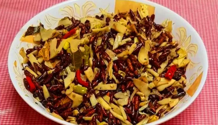 Enak! Ini Resep Ungker Jati yang Gurih dan Pedas