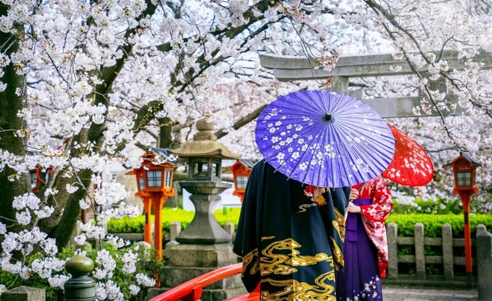 Memikatnya Taman Sakura di Kebun Raya Cibodas Cianjur