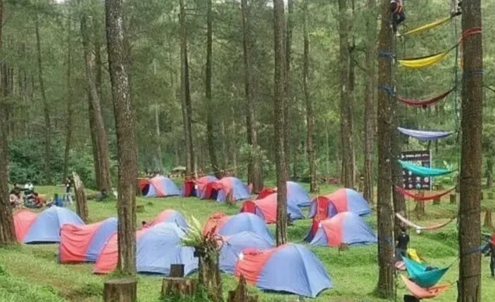 Ada Sirkuit Motocross di Wana Wisata Pokland Cianjur