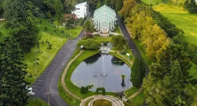 Kebun Raya Cibodas, Destinasi Wisata Segar di Cianjur