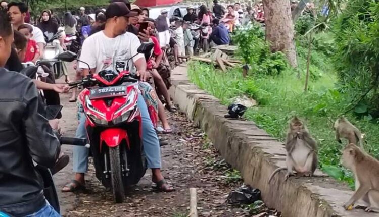 Ngabuburit di Jembatan Citarum Lama Sambil Lihat Monyet Liar