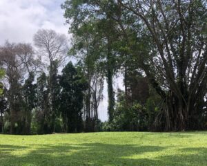 Salabintana Sumber: CIanjurkuy