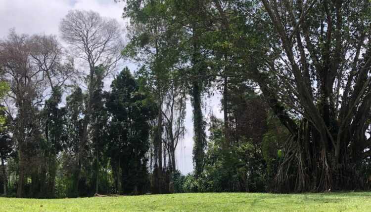 Wisata Salabintana Sukabumi