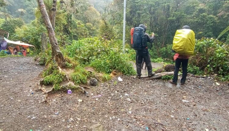 Gunung Gede Pangrango Kembali Dibuka, Antusiasme Pendaki Membludak