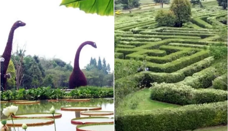 Menikmati Pesona 8 Jenis Taman di Taman Bunga Nusantara