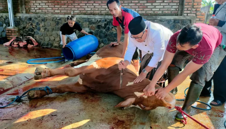 Tips Aman Menikmati Daging Kurban Tanpa Khawatir Darah Tinggi