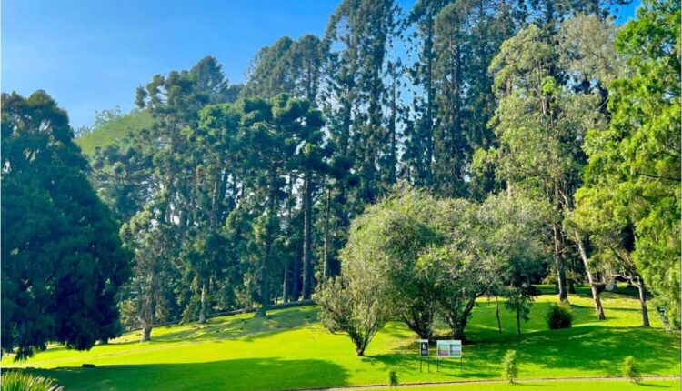 3 Rekomendasi Wisata Hits dan Populer di Cianjur untuk Liburan Keluarga