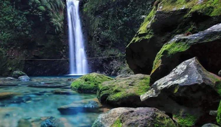 3 Tempat Wisata Menarik di Cianjur untuk Healing Bersama Keluarga