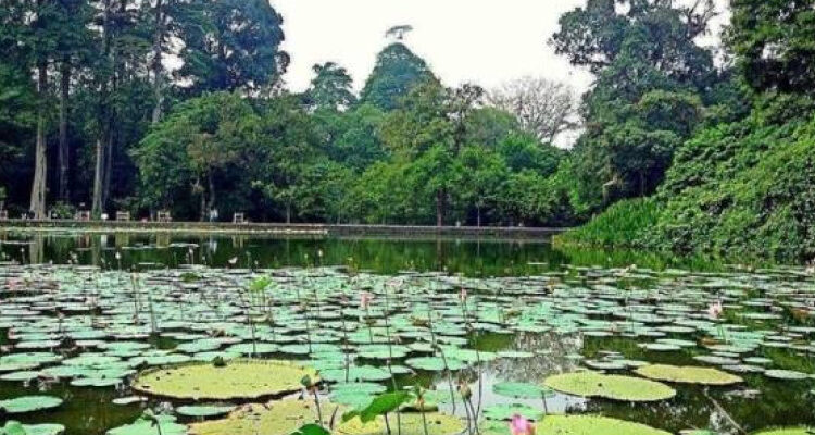 5 Tempat Wisata Ramah Lansia di Bogor dan Cianjur
