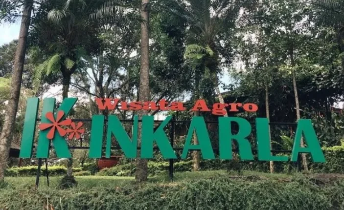 Menikmati Keindahan Bunga di Wisata Agro Inkarla Cianjur, Surga Bagi Pecinta Swafoto