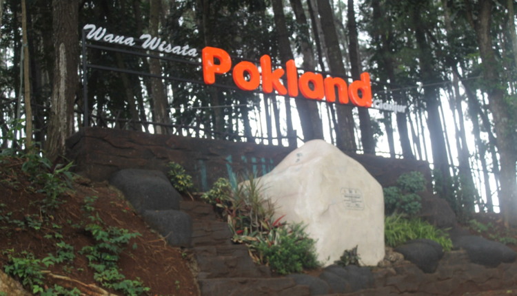 Menjelajahi Keindahan Alam Cianjur dengan Bersepeda ke Wana Wisata Pokland