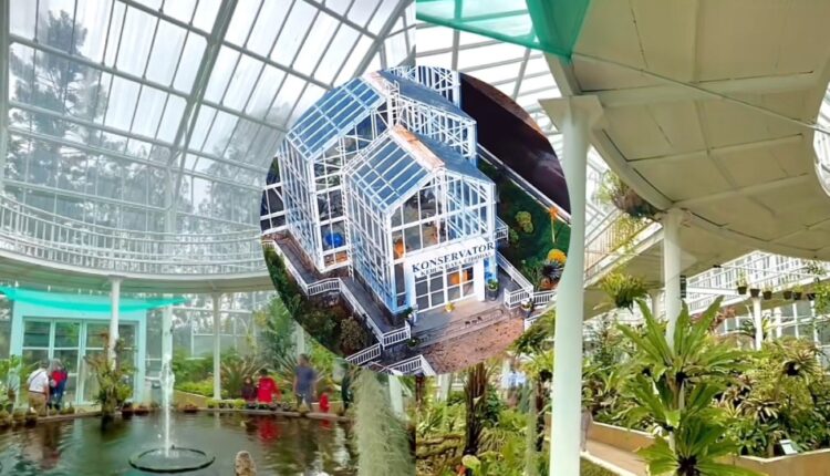 Rumah Kaca Konservatori Kebun Raya Cibodas yang Memanjakan Pecinta Tanaman Hias