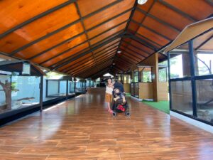 Sumber: Ayu | Menikmati Liburan Sekolah | Lokasi: The Nice