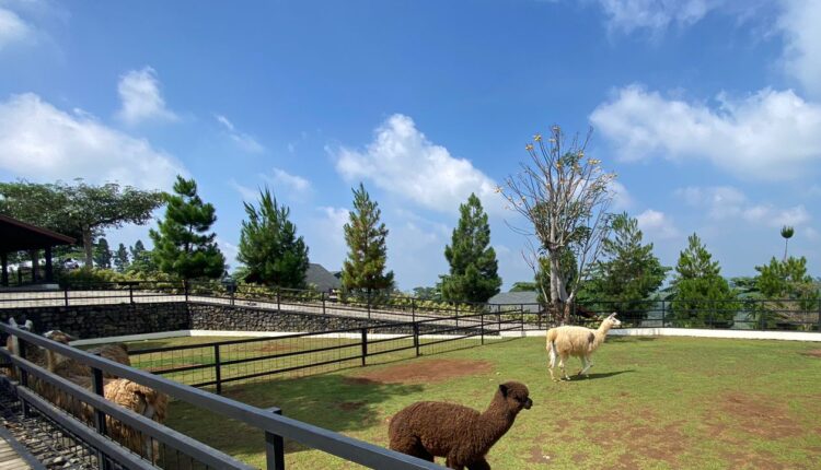 5 Destinasi Yang Cocok Dikunjungi Saat Libur Sekolah