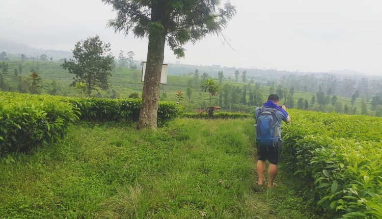 10 Tempat Wisata Menarik di Cianjur yang Wajib Dikunjungi