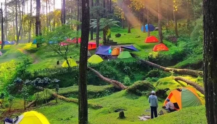 3 Tempat Wisata Alam di Cianjur yang Wajib Dikunjungi, Destinasi Menarik dengan Keindahan Memikat