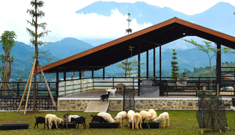 Mengenal Lebih Dekat The Nice Funtastic Park di Cianjur, Destinasi Wisata Terbaru yang Sedang Hits