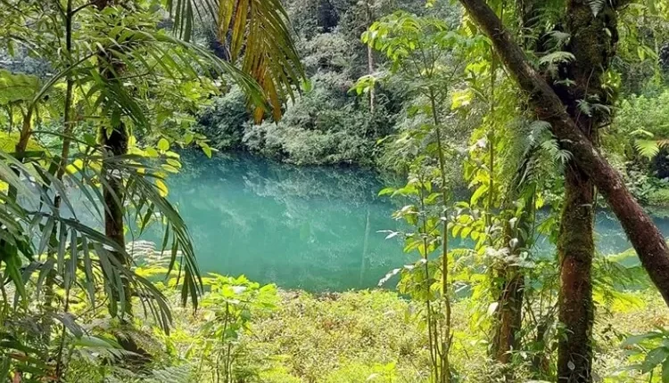 Menikmati Keindahan Danau Telaga Biru di Gunung Gede Pangrango via Cibodas