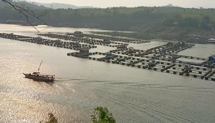 Menikmati Sunset di Waduk Cirata Sambil Mencicipi Kuliner Lokal