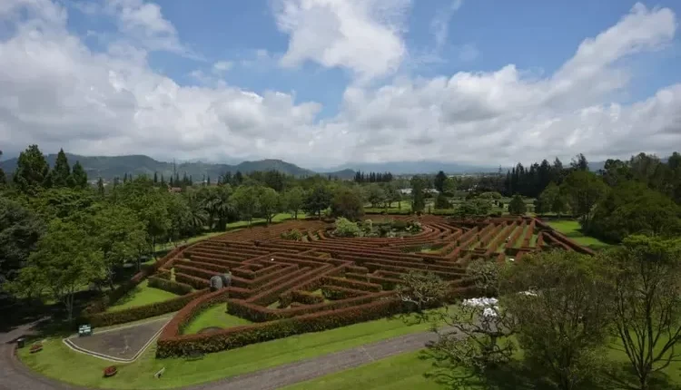 Taman Bunga Nusantara, Destinasi Wisata Alam Ideal di Cianjur untuk Liburan Keluarga