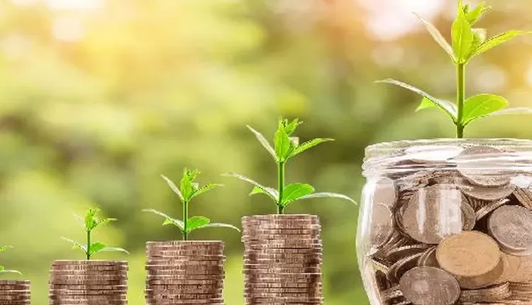 Gen Z Wajib Tahu! Berikut 7 Tips yang Harus Diikuti Sebelum Memilih Investasi