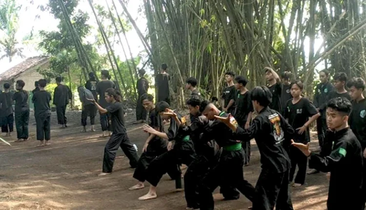 Perkembangan Seni Bela Diri Pencak Silat Di Cianjur