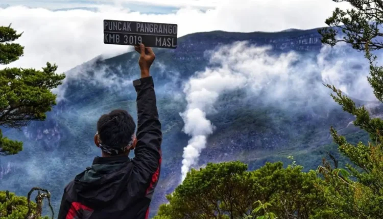 Wisata Gunung Pangrango, Keindahan Alam yang Memikat di Cianjur