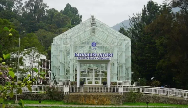 5 Destinasi Wisata Alam Terbaik di Cianjur yang Wajib Dikunjungi Tahun 2024