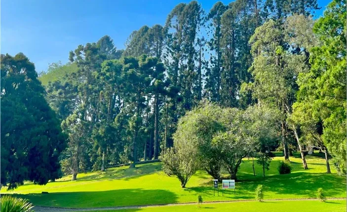 5 Rekomendasi Wisata Alam dengan Pemandangan Indah di Cianjur