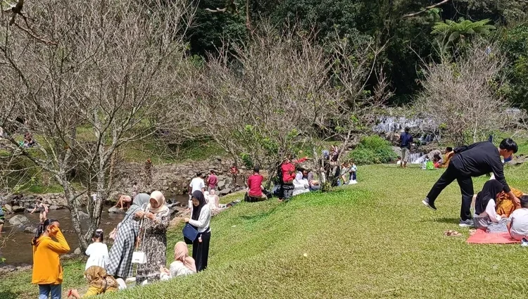 Kebun Raya Cibodas, Objek Wisata Favorit di Wilayah Utara Cianjur